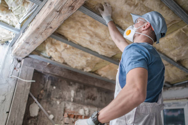 Insulation Repair Services in White Castle, LA