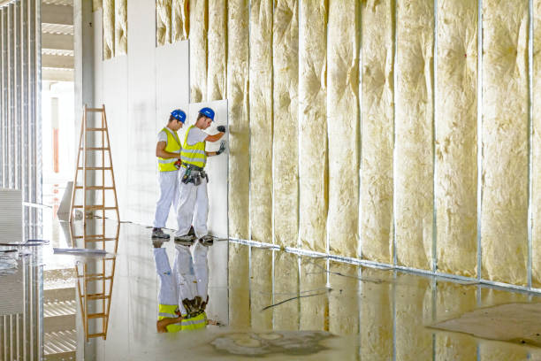 Best Garage Insulation Installation  in White Castle, LA
